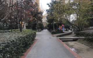 成都长城物业楼盘服务怎么样？