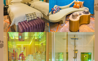 乌鲁木齐电影酒店预订哪家好？