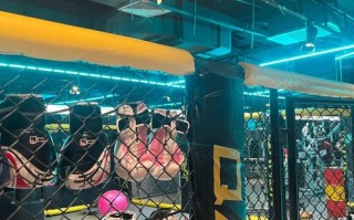 青岛全时健身门店数量是多少？