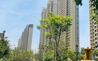 2025济南优秀物业评选标准是什么？