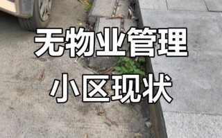 物业未管，业主权益谁保障？