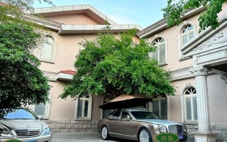 合肥琥珀山庄顺昌物业怎么样？