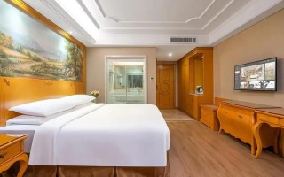 辽源维也纳国际酒店怎么预订最优惠？