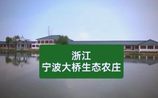 大桥生态农庄酒店怎么预订？