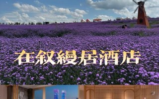 梅林浪漫艺术酒店预订怎么选最划算？