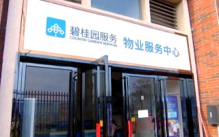 碧桂园物业服务具体包含哪些内容？