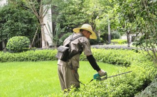 物业为何擅自给业主家除草？