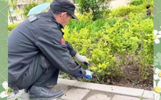 物业小区绿化养护标准具体有哪些？