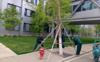 物业项目 大风 工作