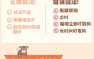 物业小区动物管理如何规范？