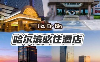 哈尔滨财富大酒店怎么预订最优惠？