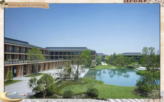 浙江绿城物业的服务有何独特优势？