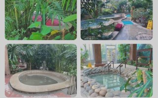 南宫温泉酒店酒店预订