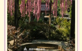 湖南紫龙湾温泉酒店怎么预订最划算？