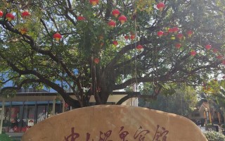 中山温泉公寓酒店怎么预订？