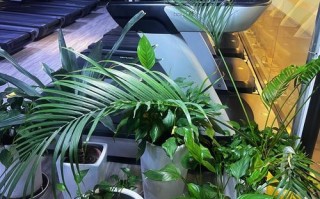 安阳国贸中心健身有何特色或优势？