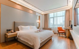 海口爱情主题酒店预订，有哪些特色房型可选？