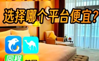 保税东区附近酒店怎么选？