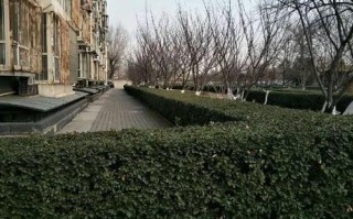 物业客服前台工作总结，如何提升服务效率与满意度？