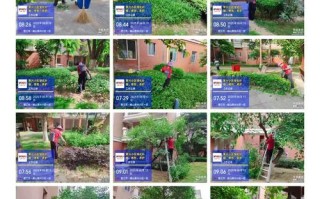 物业服务企业基本情况包含哪些核心内容？