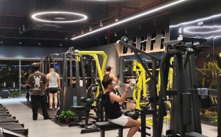 alfa 格斗健身馆