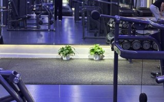 慈云寺附近健身会所哪家好？