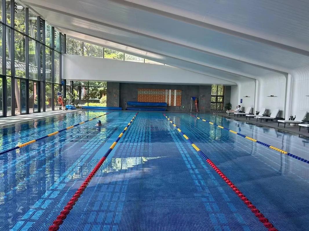 南京冬天游泳是健身还是挑战？-第3张图片-德高鼎泰便民中心