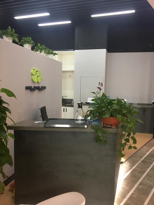 MyMyO德国智能健身，智能在哪？-第3张图片-德高鼎泰便民中心