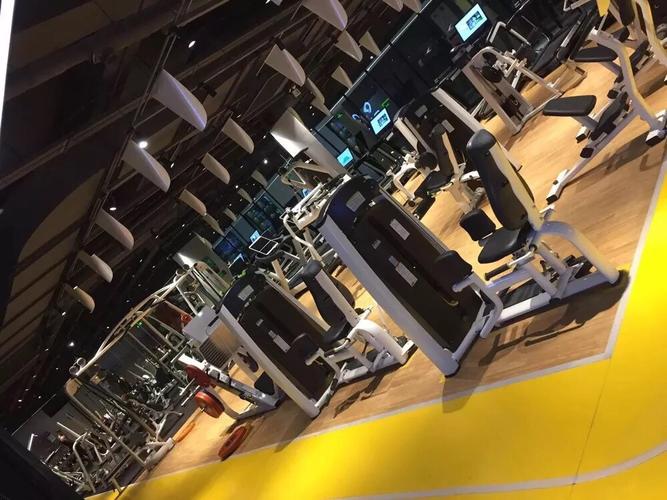 liking健身哈尔滨怎么样？-第1张图片-德高鼎泰便民中心