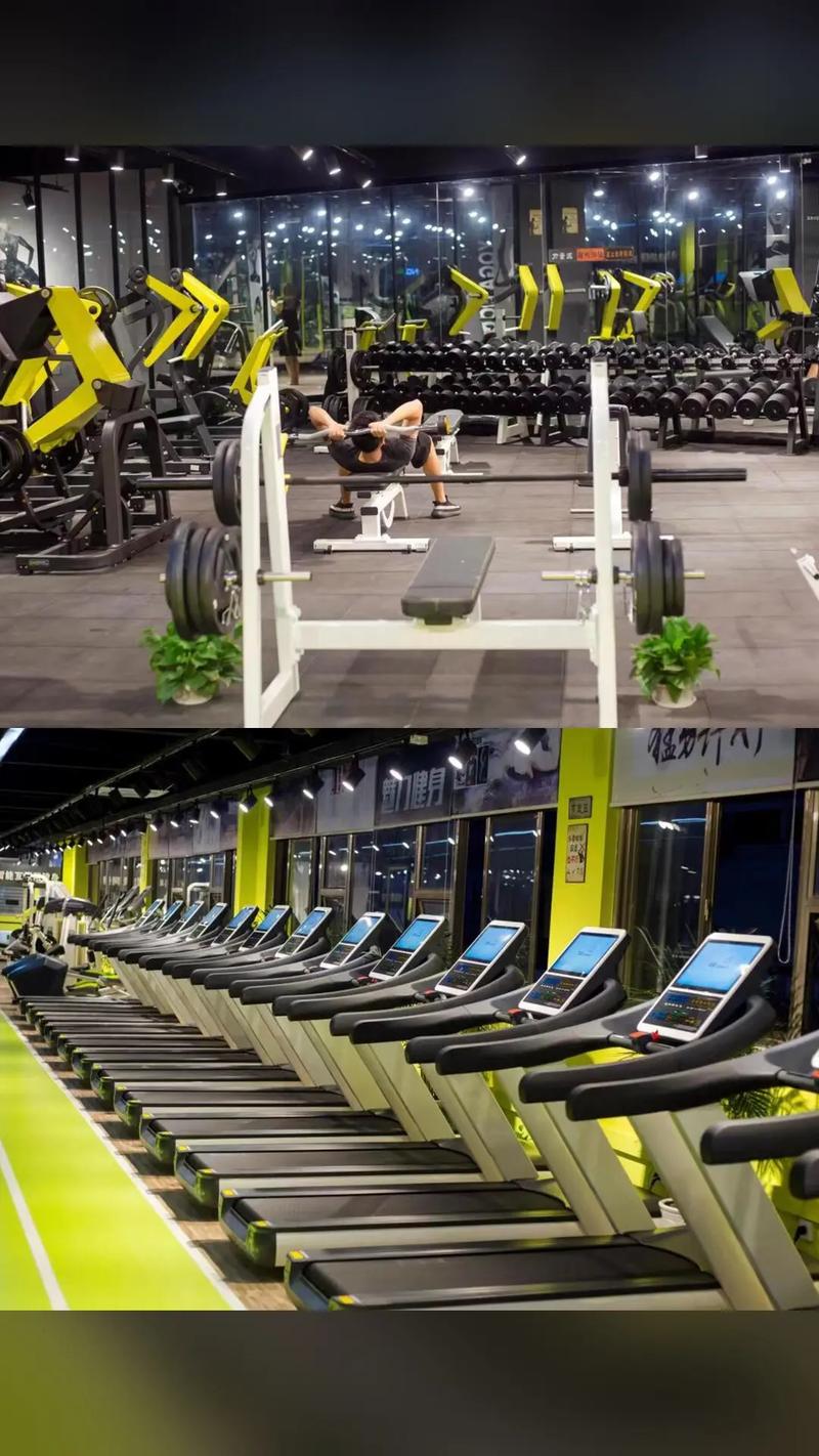 liking健身太原，如何科学健身塑形？-第1张图片-德高鼎泰便民中心