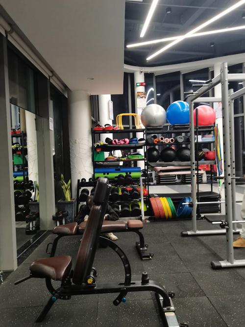 厦门fitness健身，如何科学高效塑形？-第1张图片-德高鼎泰便民中心