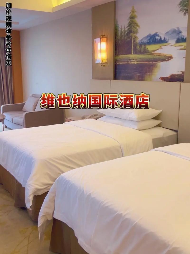 辽源维也纳国际酒店怎么预订最优惠？-第2张图片-德高鼎泰便民中心