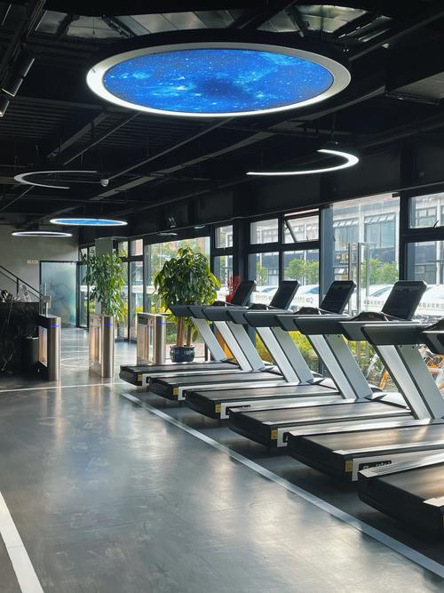 新动力健身和阳光健身房-第2张图片-德高鼎泰便民中心 新动力健身和阳光健身房-第2张图片-德高鼎泰便民中心