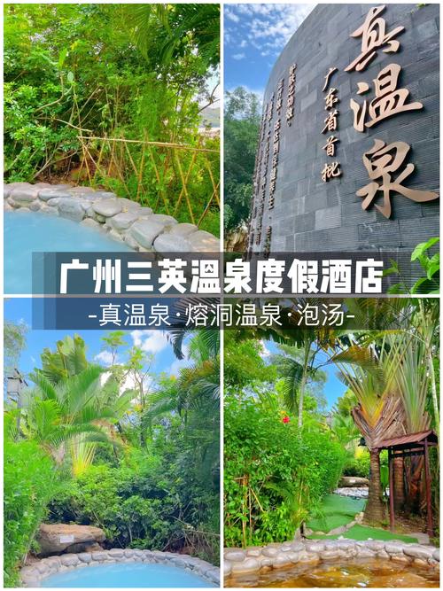 增城广场温泉酒店预订怎么选最划算?-第3张图片-德高鼎泰便民中心 增城广场温泉酒店预订怎么选最划算?-第3张图片-德高鼎泰便民中心