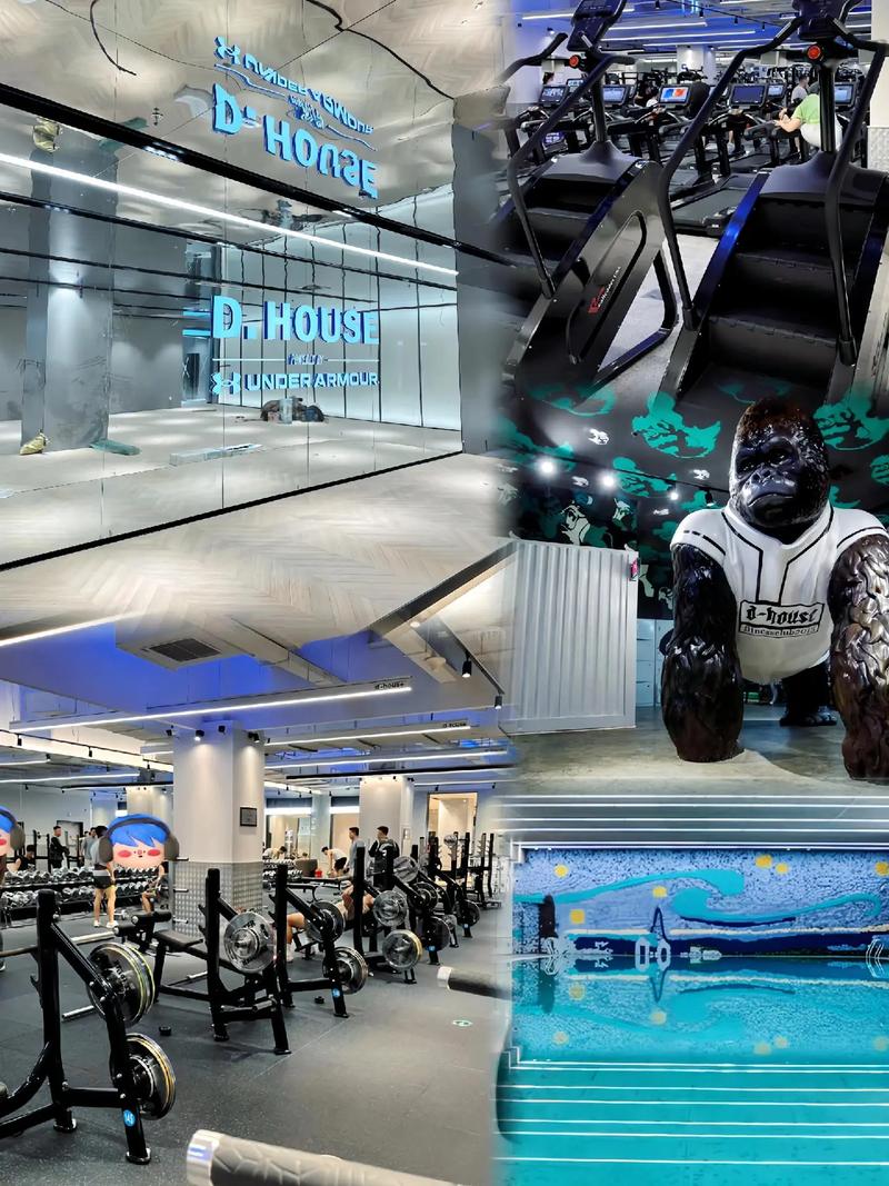 帝豪斯健身俱乐部到底怎么样？-第1张图片-德高鼎泰便民中心