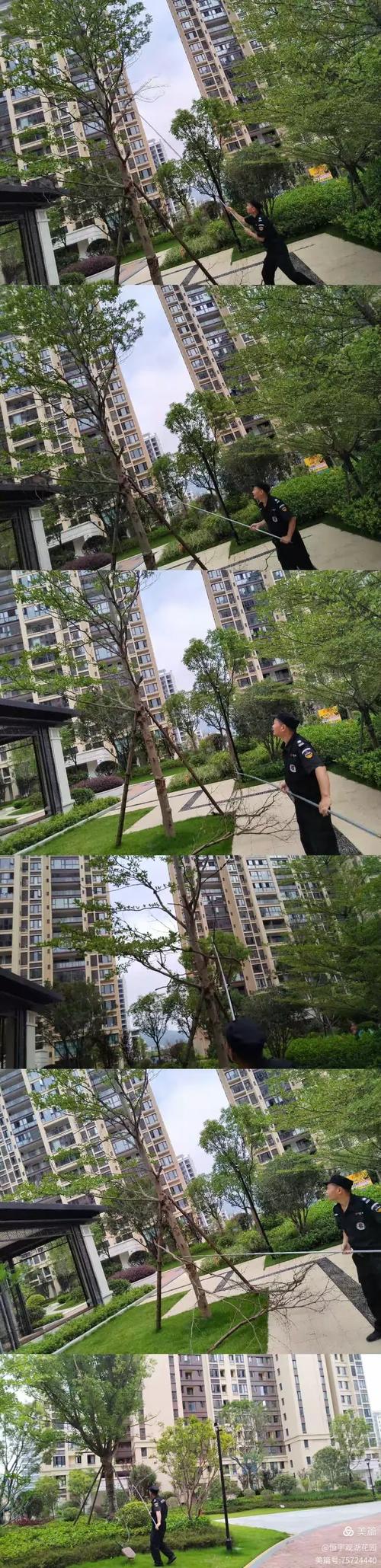 福建省物业协会恒宇物业有何特别之处?-第2张图片-德高鼎泰便民中心 福建省物业协会恒宇物业有何特别之处?-第2张图片-德高鼎泰便民中心