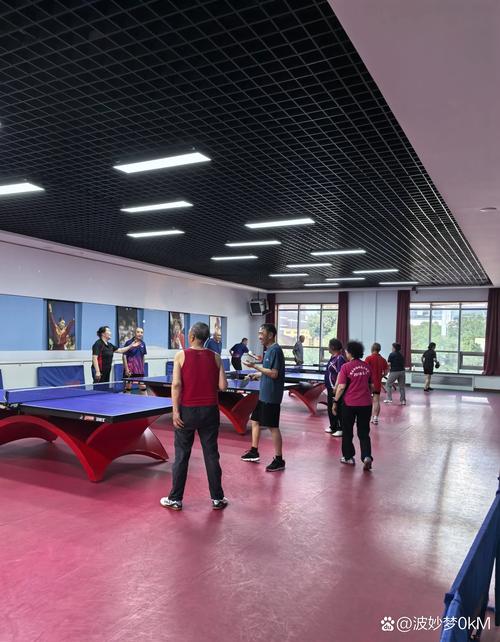 南京全民健身中心 团购-第3张图片-德高鼎泰便民中心