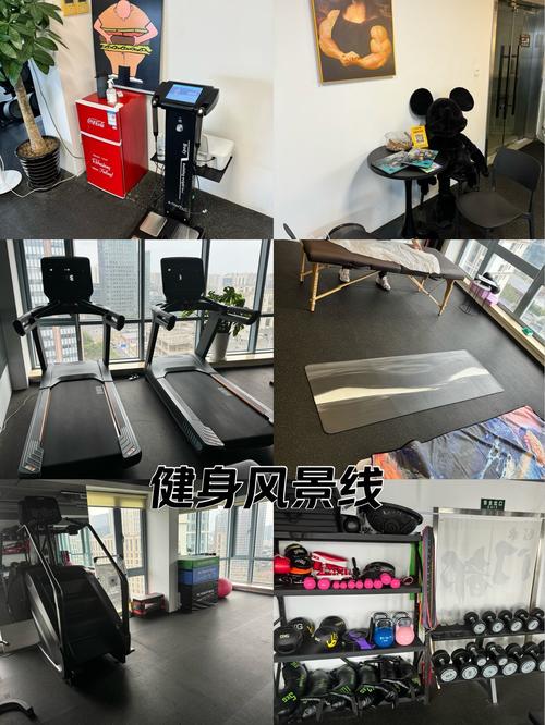 soho 健身 怎么样-第2张图片-德高鼎泰便民中心
