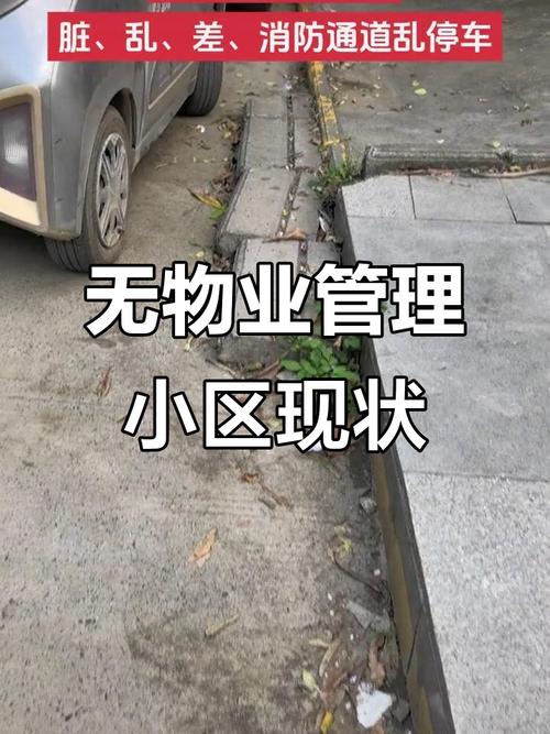 物业未管，业主权益谁保障？-第1张图片-德高鼎泰便民中心