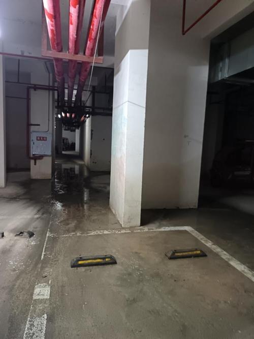 物业未管，业主权益谁保障？-第2张图片-德高鼎泰便民中心