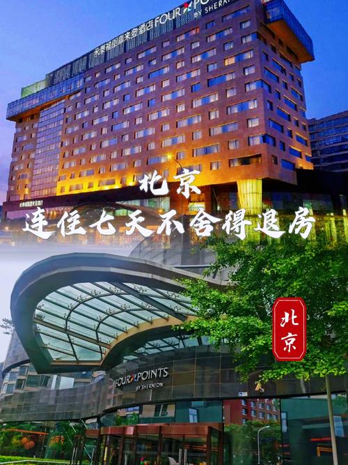 北京朝阳喜来登酒店预订哪里最划算？-第1张图片-德高鼎泰便民中心