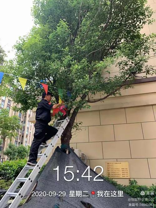 无锡怡庭物业是几级资质?-第2张图片-德高鼎泰便民中心 无锡怡庭物业是几级资质?-第2张图片-德高鼎泰便民中心