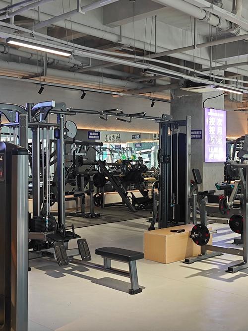 黄金健身俱乐部价格贵不贵?-第1张图片-德高鼎泰便民中心 黄金健身俱乐部价格贵不贵?-第1张图片-德高鼎泰便民中心