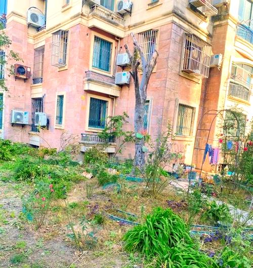 昆山无物业小区,物业管理由谁负责?-第3张图片-德高鼎泰便民中心 昆山无物业小区,物业管理由谁负责?-第3张图片-德高鼎泰便民中心