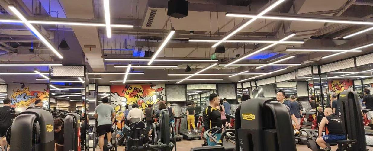 威尔士健身上海价格贵不贵？-第1张图片-德高鼎泰便民中心