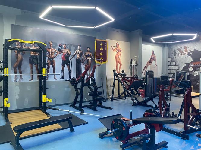 Mr.K健身房,专业健身如何练就理想身材?-第3张图片-德高鼎泰便民中心 Mr.K健身房,专业健身如何练就理想身材?-第3张图片-德高鼎泰便民中心