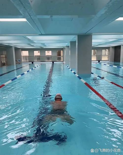 湖州全民健身中心游泳馆-第3张图片-德高鼎泰便民中心