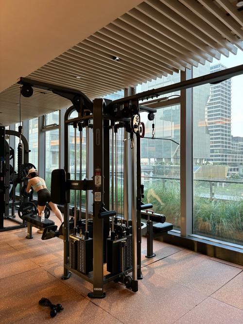 vlines健身房有何独特之处值得选择?-第2张图片-德高鼎泰便民中心 vlines健身房有何独特之处值得选择?-第2张图片-德高鼎泰便民中心