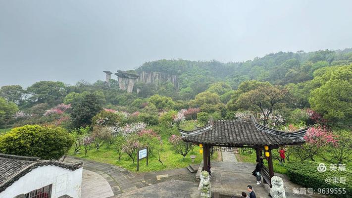 吼山风景区附近酒店怎么选？-第2张图片-德高鼎泰便民中心