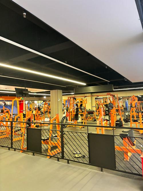 秦皇岛格斗俱乐部健身,适合零基础吗?-第1张图片-德高鼎泰便民中心 秦皇岛格斗俱乐部健身,适合零基础吗?-第1张图片-德高鼎泰便民中心